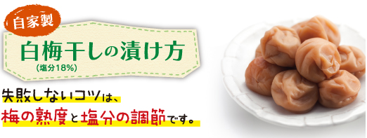 自家製白梅干しの漬け方