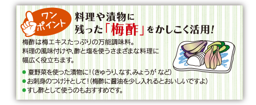 自家製白梅干しの漬け方